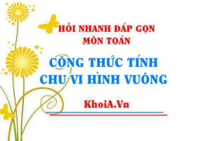Công thức tính chu vi hình vuông viết như nào? Hỏi nhanh đáp gọn môn Toán
